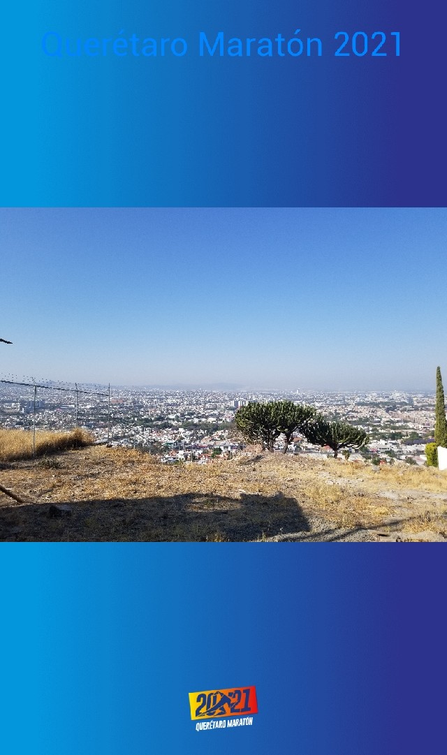 Luis Alfonso Ponce Gonzalez