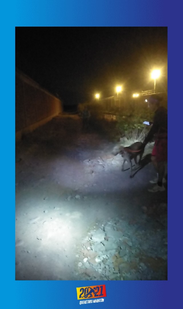 José Ramón  Hurtado contreras 