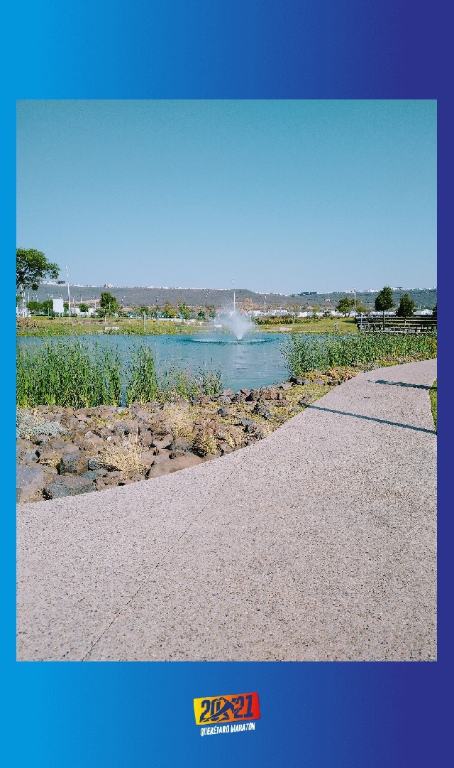 Wendy Alejandra Loeza Narváez