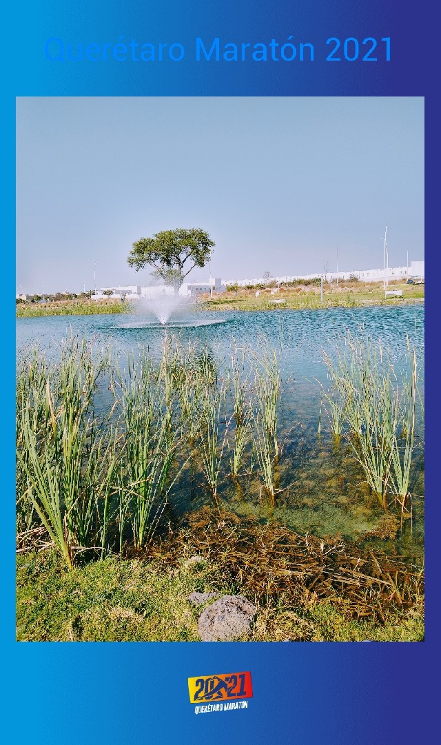 Wendy Alejandra Loeza Narváez