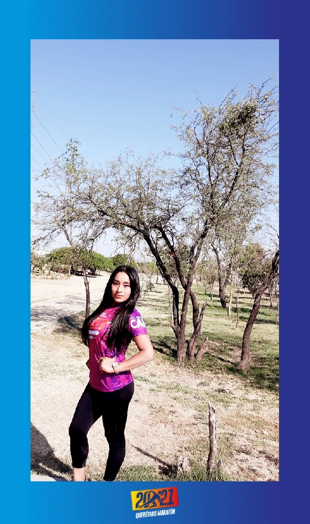 Yolanda  Escamilla Tovar