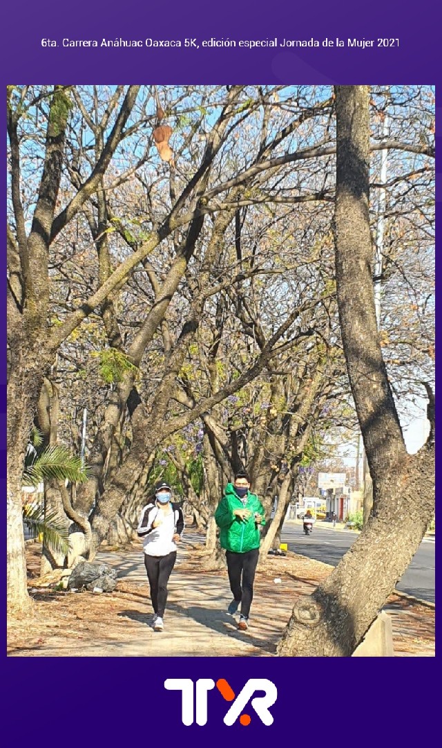 Carlos Gabriel  Jiménez Aburto 