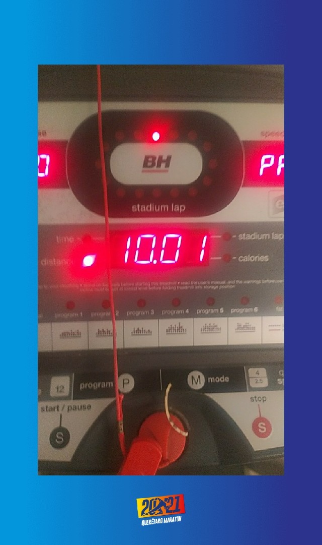 Luis Antonio  Vega Pichardo 