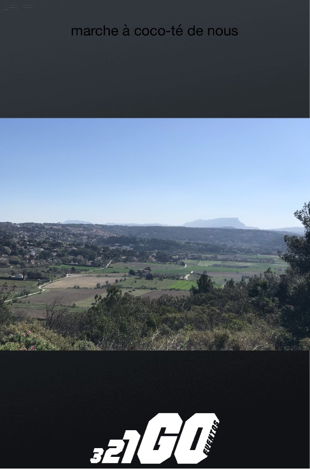 Elisa Vialatte Niemeyer