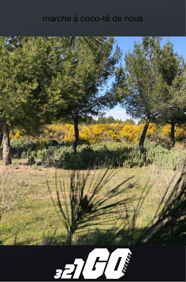 Elisa Vialatte Niemeyer