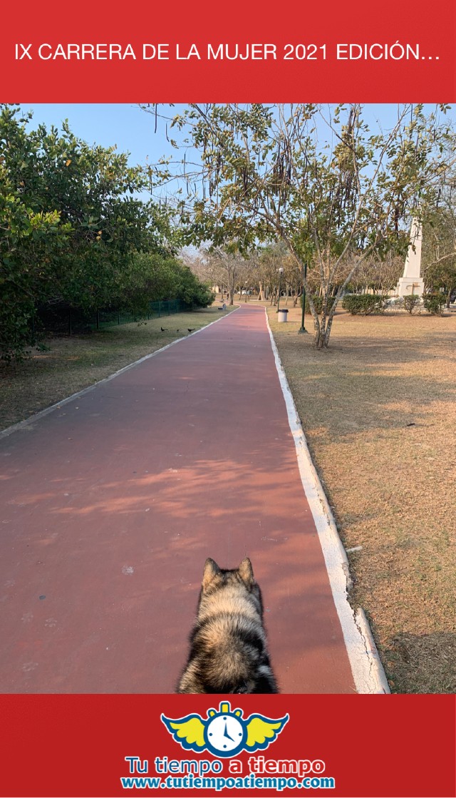 Celia Elena Sanchez Sánchez