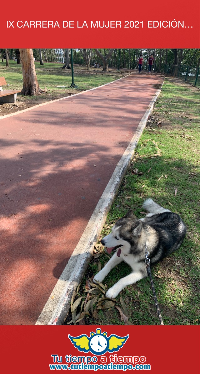 Celia Elena Sanchez Sánchez