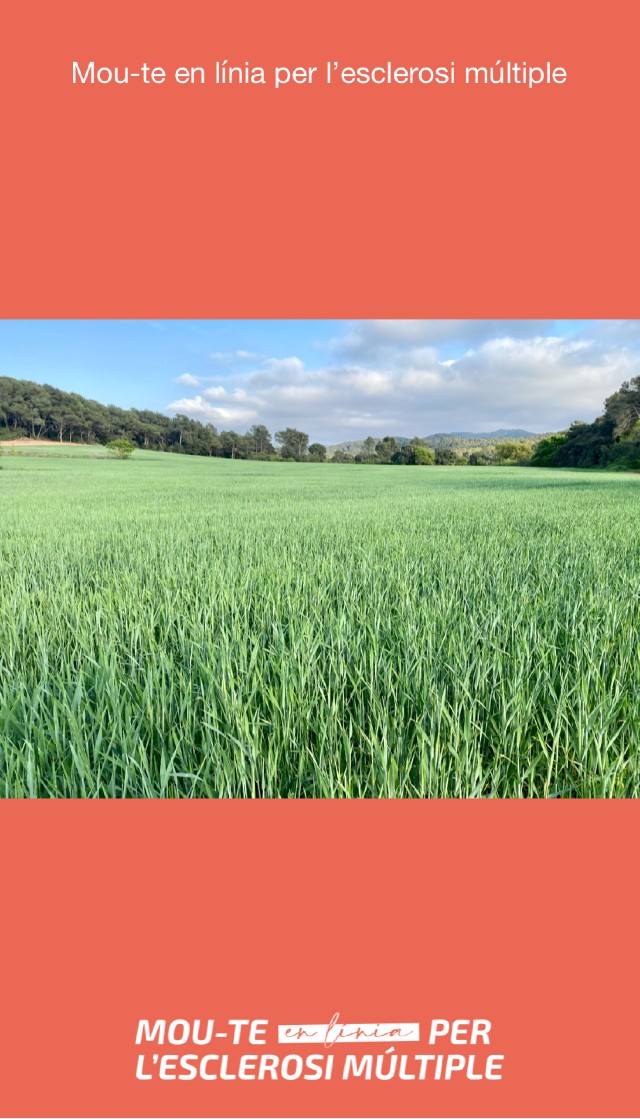 Iolanda Vallejo Paredes