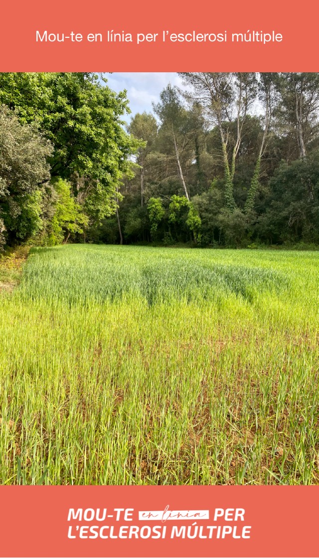 Iolanda Vallejo Paredes