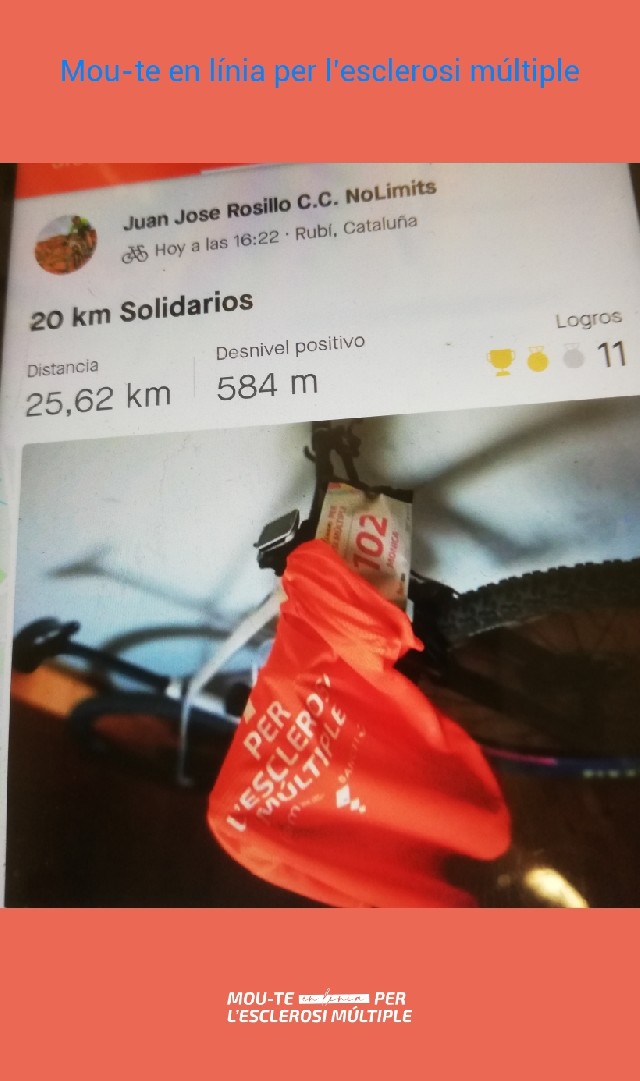 Mónica  Carmona López 