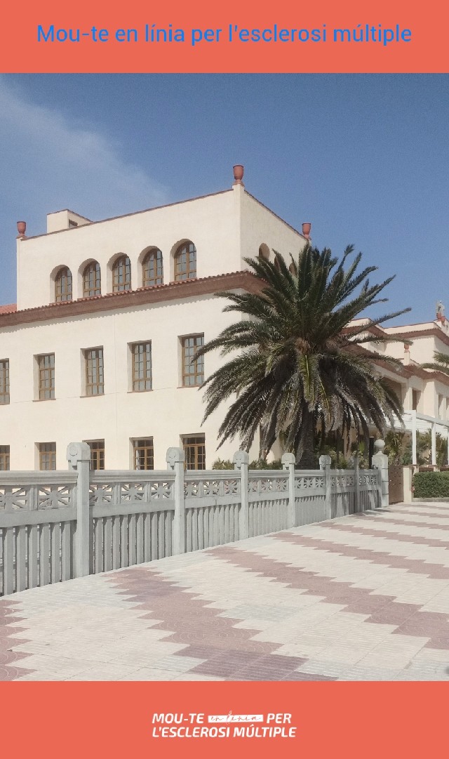 Ferran Tejedor Arrufat