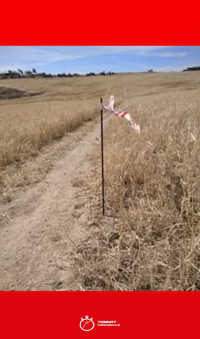 Rafael Baena González
