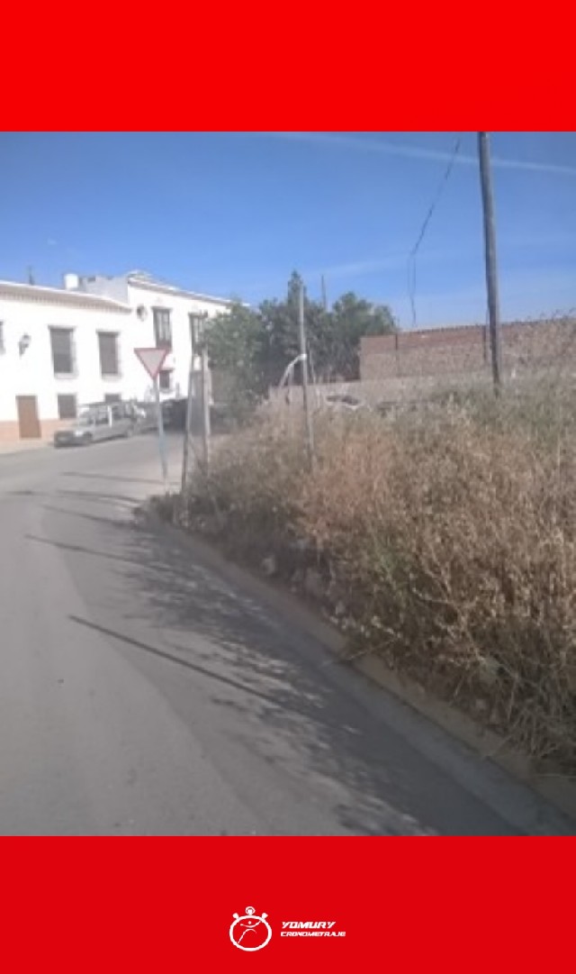 Rafael Baena González