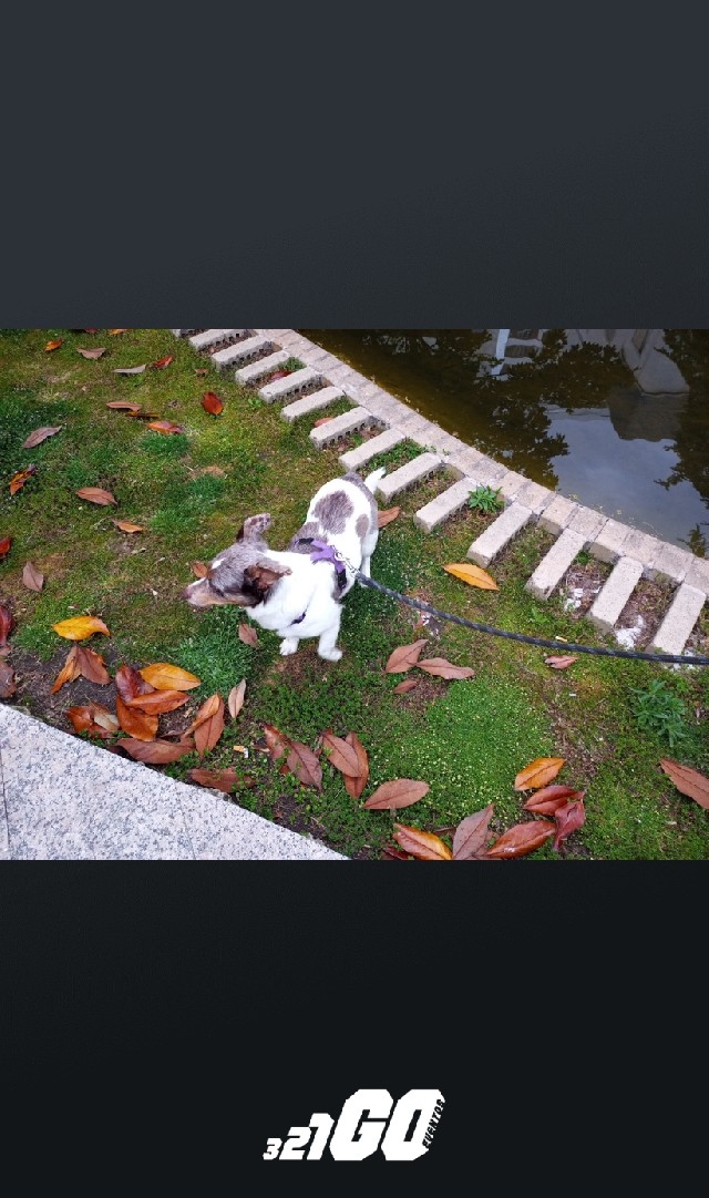 Sergio  Riestra Tejero