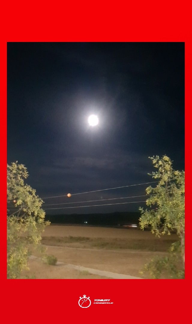 Sandro  Martin Hernández 