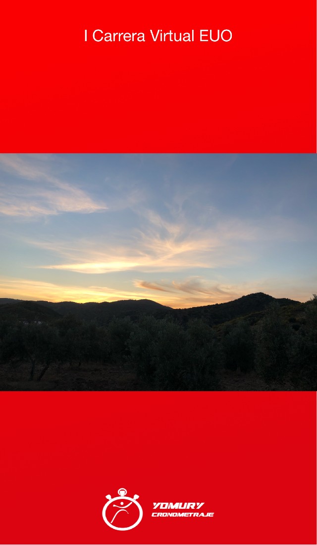 Rocío Ballesta Molina