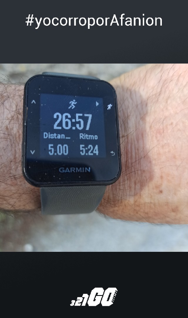 Emilio Manuel Aparicio Cifuentes