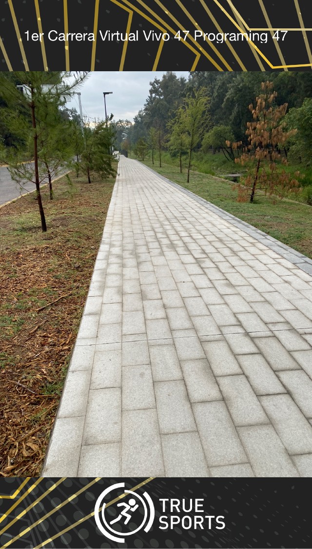 Angélica  Aranda Lujano 