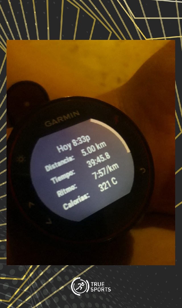 Tania Elizabeth  Hernandez Viera