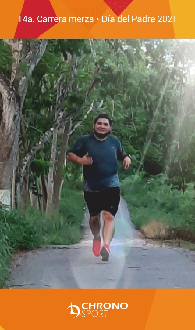 Rene Julian  Moguel Alcocer 