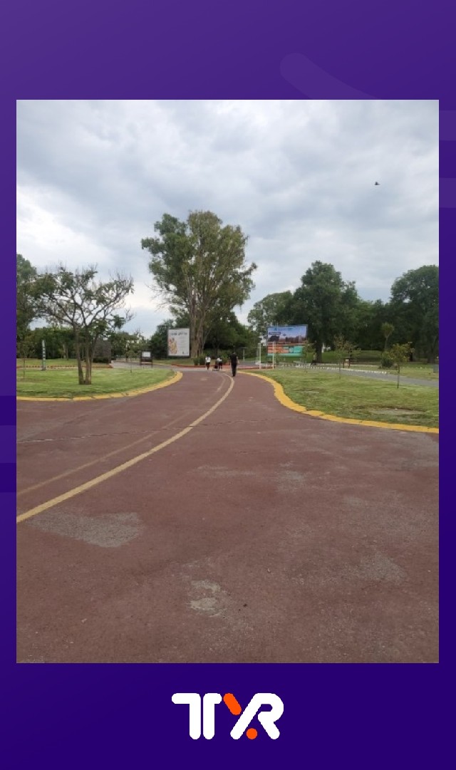 Juan pablo Gonzalez cardona 