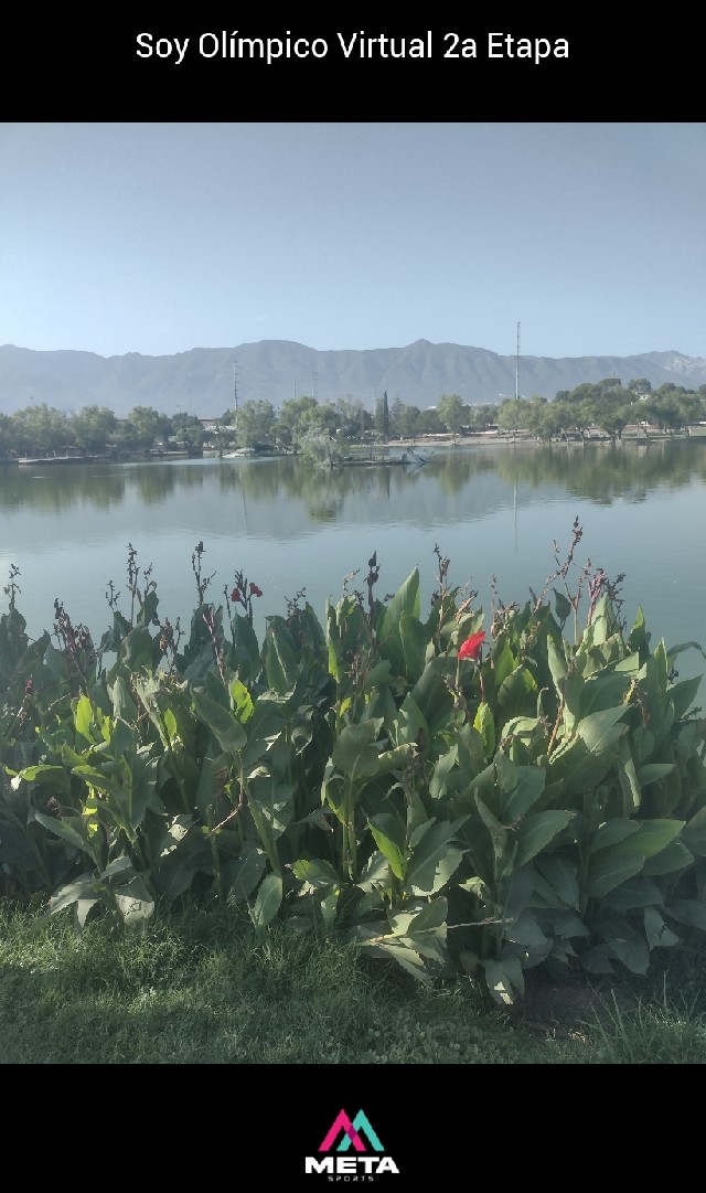 Liza Escamilla Rodríguez