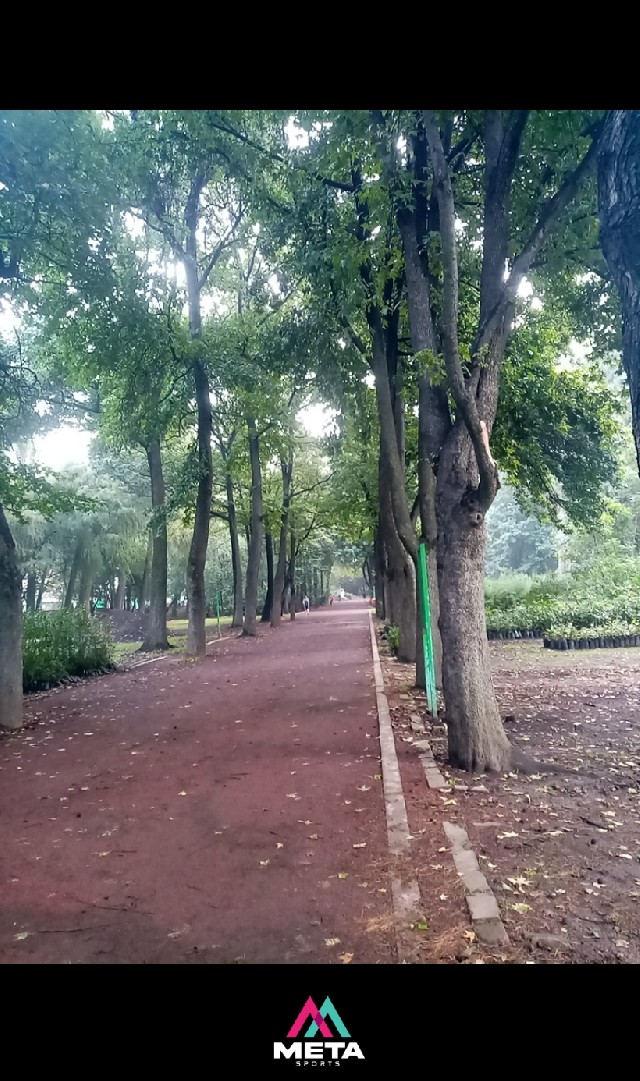 Gabriela  Oble Ortíz 