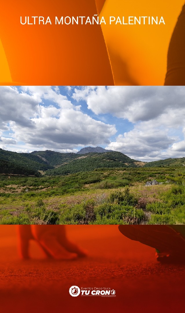 Isabel Carcaboso Mayordomo