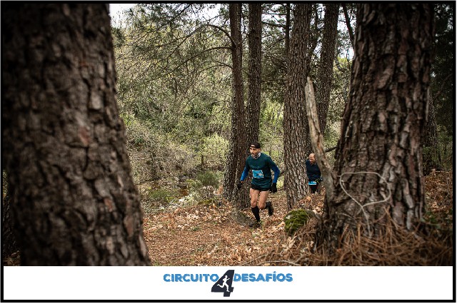 Francisco Javier  Rojo  Guzmán 