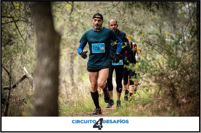 Francisco Javier  Rojo  Guzmán 