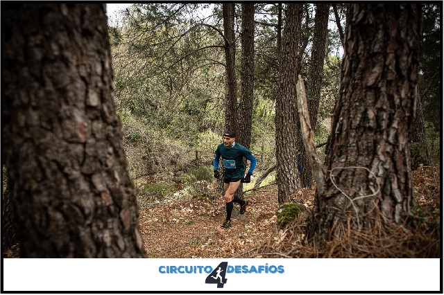 Francisco Javier  Rojo  Guzmán 