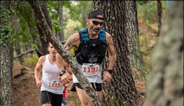 Francisco Javier  Rojo  Guzmán 