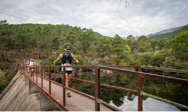 Francisco Javier  Rojo  Guzmán 
