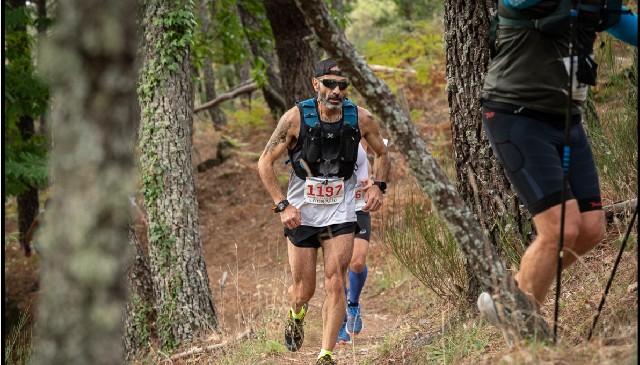 Francisco Javier  Rojo  Guzmán 