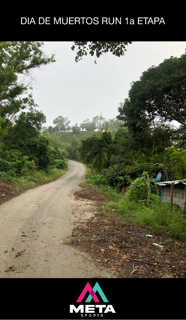 Carlos Aarón  Perez Castillo