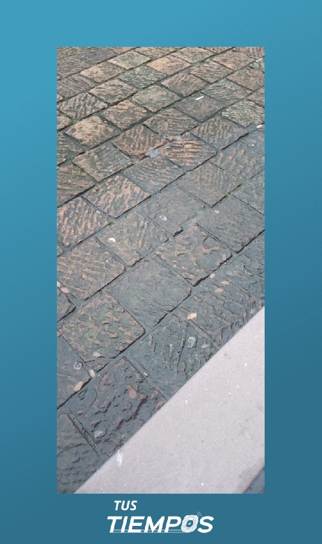 Diana Carolina Castellanos Celis