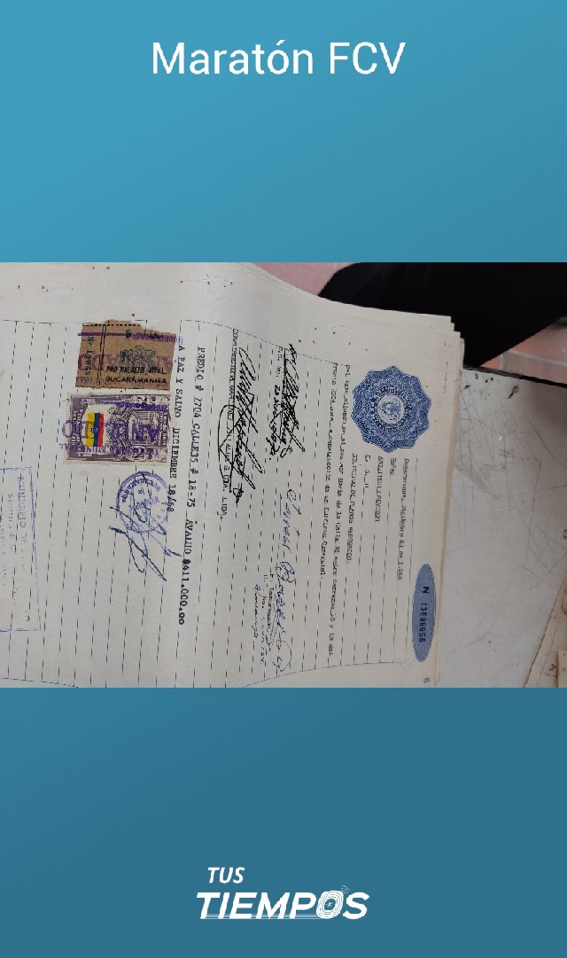 Laura Remolina Rodríguez