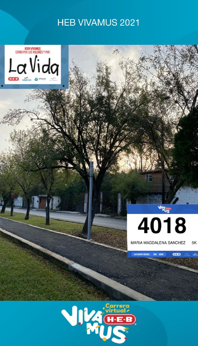 Maria Magdalena  Sanchez Navarro