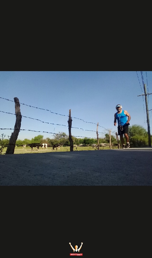 miguel angel dimas rangel