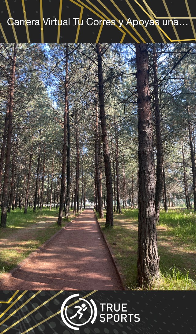 Maria Lorena de las Mercedes  Benitez Zamudio