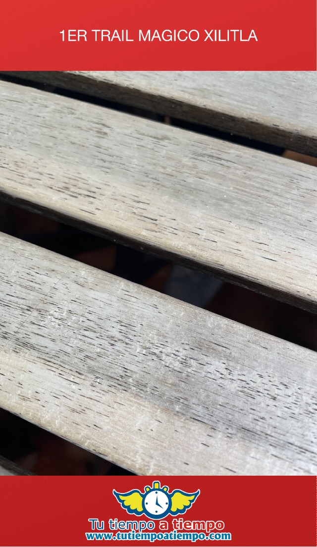 Xavier Antunes Castro de la Maza