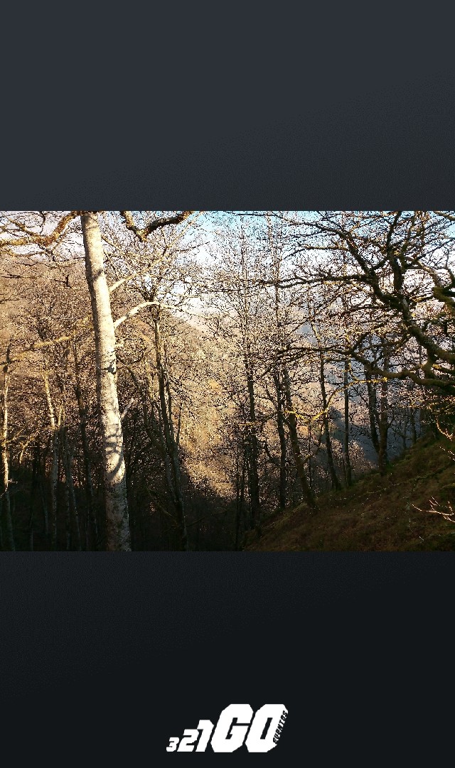 José Luis Urra Itoiz