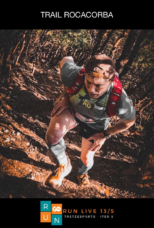 Miquel  Martinez Gifre