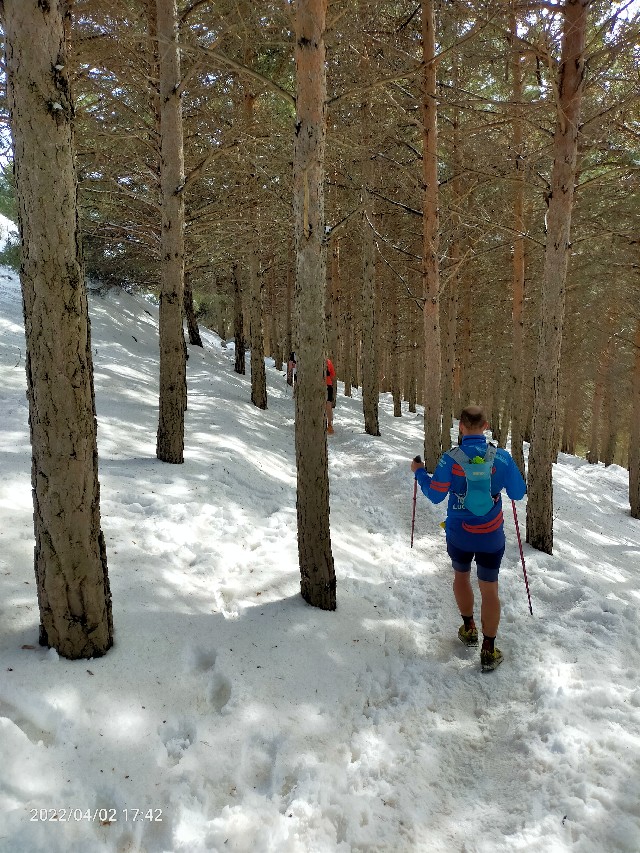 Fernando Guillen Suita 