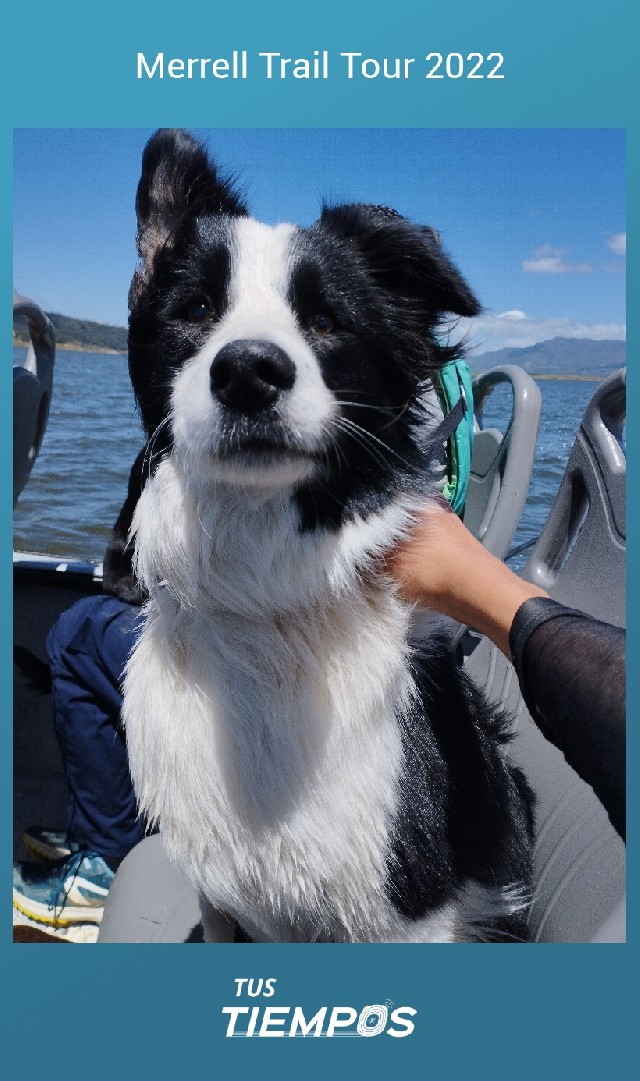 Camilo Andrés Lombana González