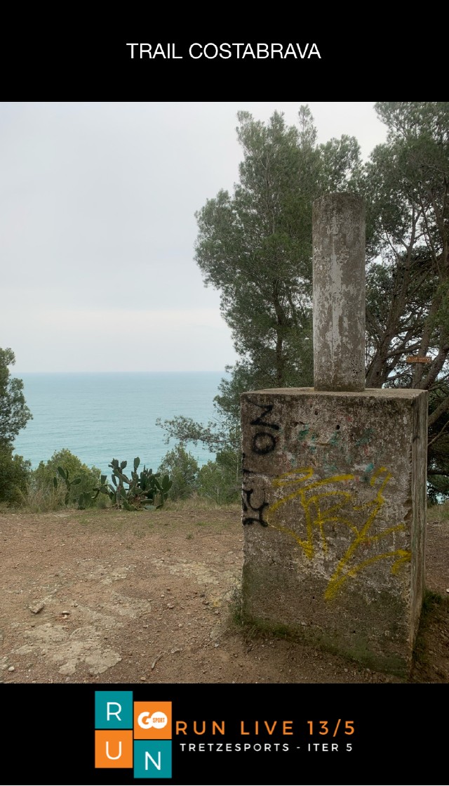 Maria Rosa Niubó Sala