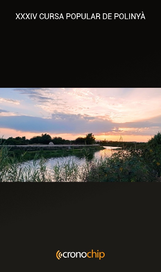 Salva Colechà Franco