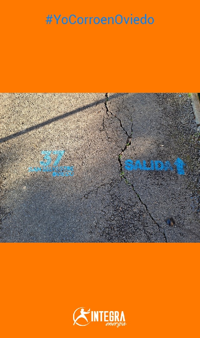 María Luz Sanz Navarro