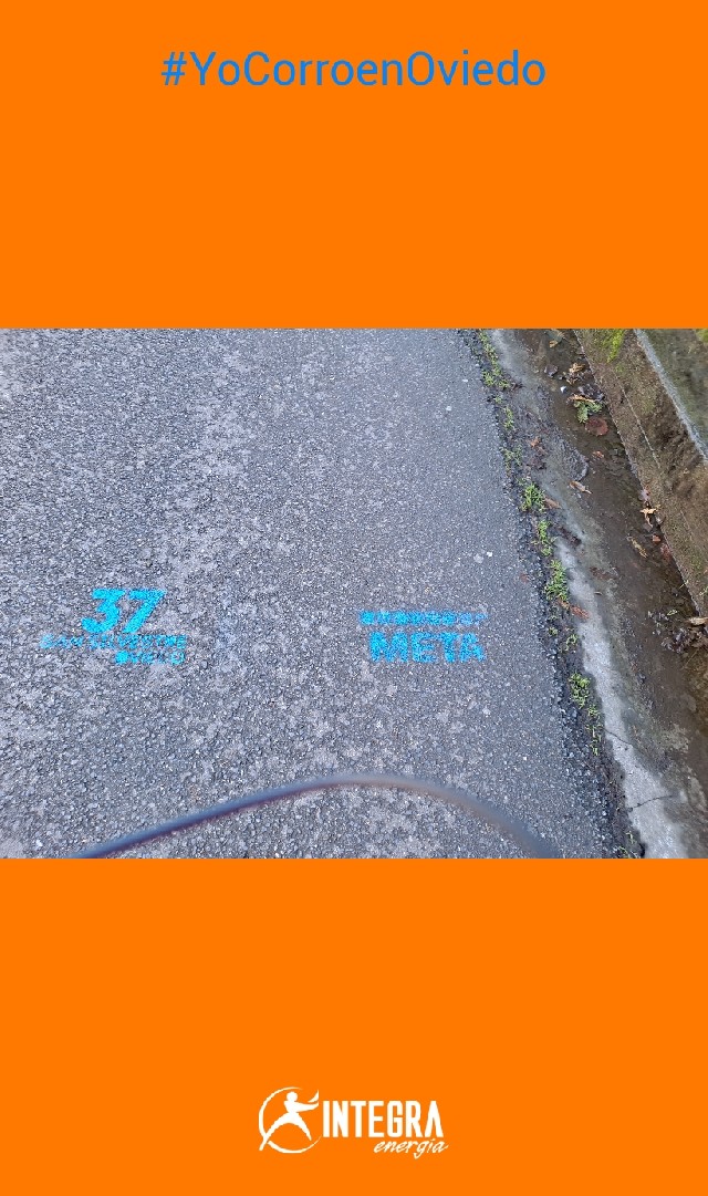 María Luz Sanz Navarro