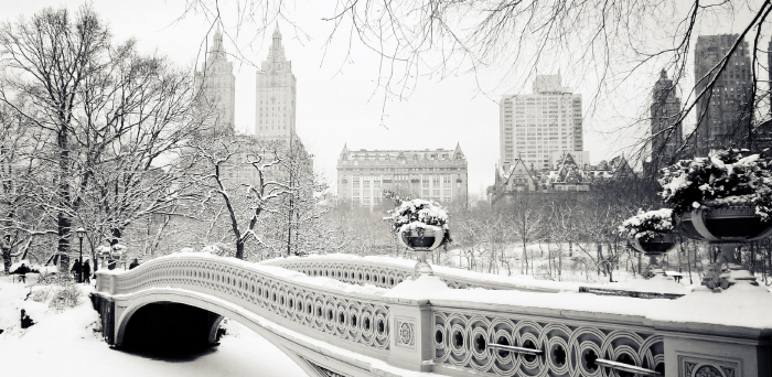 winter landscape